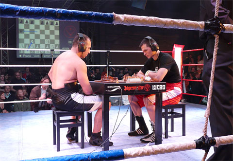 chessboxing13.jpg