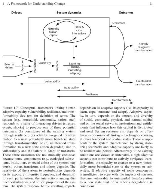 conceptualframework.jpg